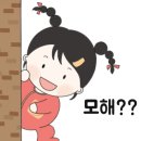 비비추꽃집