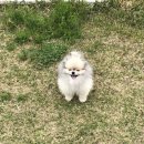 모찌네쌀롱 이미지