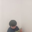노부영영어드림강릉유천어학원
