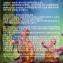 아웃오브박스 이미지