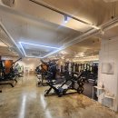 피티그램 이미지