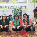 문래동 공동체텃밭 내 이미지