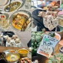 헬로퍼피1 | 파주 헤이리마을 애견동반 당일치기 여행코스 총정리🐶✨