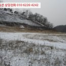 연천군 군남면 황지리