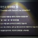 GS25노형중앙점 | 제주 가볼만한 곳 | 25m 초대형 미디어아트 '노형수퍼마켙' 관람 후기(ft. 제주투어패스 무료 입장)