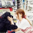 안녕강아지야 이미지