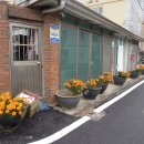 오금초등학교 이미지