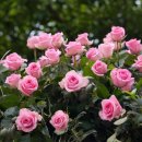 누리 행정사사무소 이미지