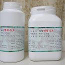 학진농장 Daum카페