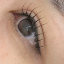 포인트 | 원주 속눈썹 연장 잘하는 키시빌리지 펌 포인트 연장 후기