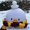 2024.1月 일상 : 안녕? 2024