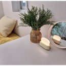 스테이 루나 이미지