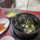 홍천형제해장 | 홍천 불멍멍글램핑캠핑장 댕댕이랑 부모님이랑 기념일 보내기🧡