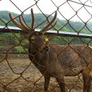 동굴목장 이미지