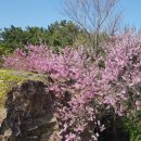 의료법인 선은의료재단 이미지