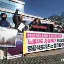 정부경북지방합동청사 앞 이미지