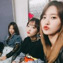 정화신발