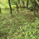 기북면사무소 이미지