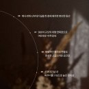 루이비스컨벤션연회