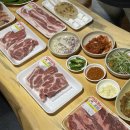 도치돌캠프 네이버블로그