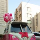 살롱드로즈 SALON DE ROSE