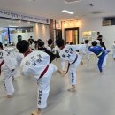 용인대 튼튼 태권도장 이미지