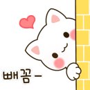 코코샤브(재송점) 이미지