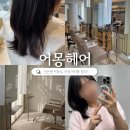 신논현 미용실에서 단발머리 변신 성공 어몽헤어