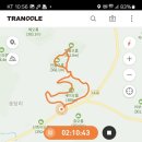 세미로 이미지