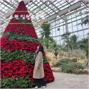 일월수목원전시온실 | 수원 가볼만한 곳 [ 일월수목원 ] 겨울 실내 데이트 전시온실 / 카페 데이지원 방문 후기 포함