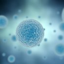 바이오트리 이미지