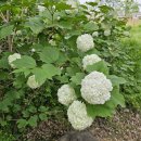 시립미술관(운암제) 이미지