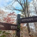 [종료] 대전 만인산 & 구봉산 산행! 2022년 11월 19일 토요일! 이미지