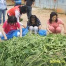 건이농장 이미지