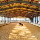 호포승마스쿨 이미지