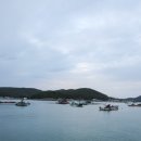 원네스트