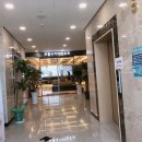 코뿔소이비인후과 네이버블로그