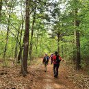 이목리마을회관 이미지