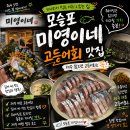 고등어 | 제주 모슬포 맛집 미영이네 / 제주오면 꼭 먹어야할 고등어회 후기!