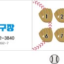 스타파크야구장 Daum카페