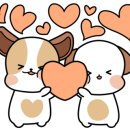스쿱스튜디오