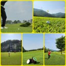 영골프클럽 | 6월 포천 일동레이크cc 골프클럽 라운딩 후기 ∴ 골프장 날씨 코스 맛집 정보