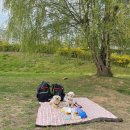 님도그냥 이미지