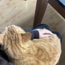 월드컵가든 | 치료 고민🤔, 쓱데이(소프라이즈), 삼원가든, 월드컵컨벤션 결혼식 후기, 조립식대바늘 추천🧶, 테이블스...