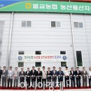 벌교농협농산물산지유통센터 이미지