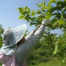 봉우리농장 이미지