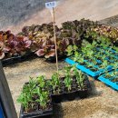 윤이농장 이미지