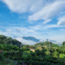 훈 농장 이미지