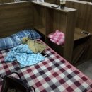 24시만화방 이미지