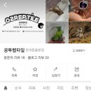 공투렙타일